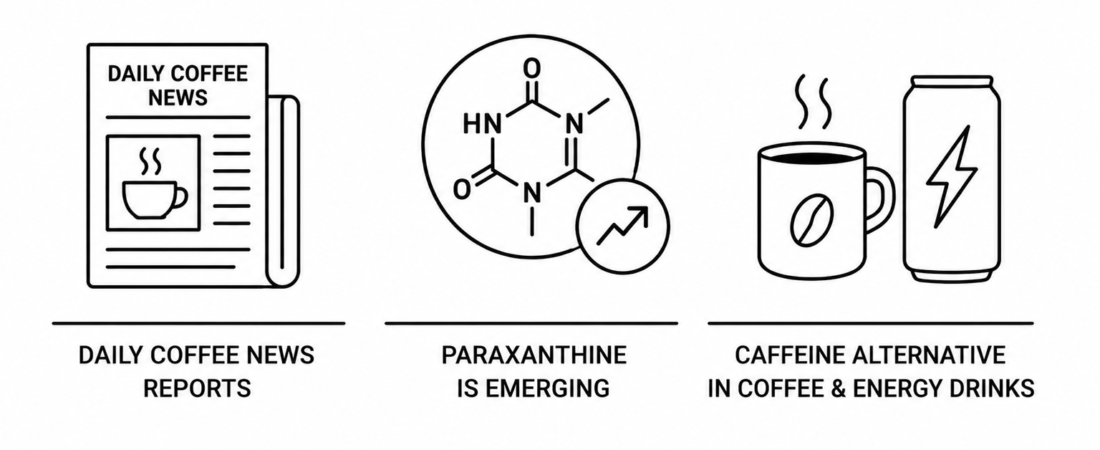 Daily Coffee News Reports Paraxanthine Is Emerging as a Caffeine Alternative in Coffee and Energy Drinks