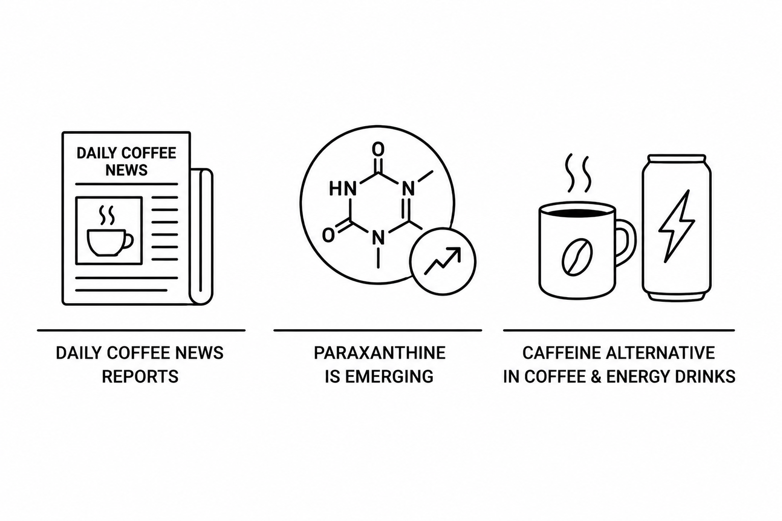 Daily Coffee News Reports Paraxanthine Is Emerging as a Caffeine Alternative in Coffee and Energy Drinks