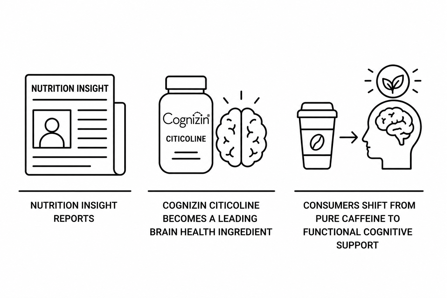 Nutrition Insight Reports Cognizin Citicoline Becomes a Leading Brain Health Ingredient as Consumers Shift From Pure Caffeine to Functional Cognitive Support