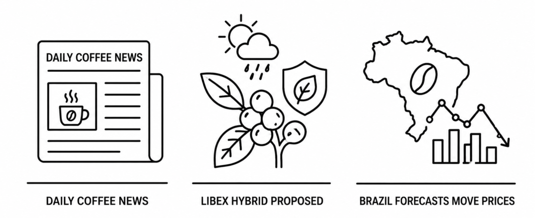 Daily Coffee News Reports Royal Botanic Gardens Propose Climate-Resilient Libex Coffee Hybrid as Brazil Crop Forecasts Disrupt Coffee Prices