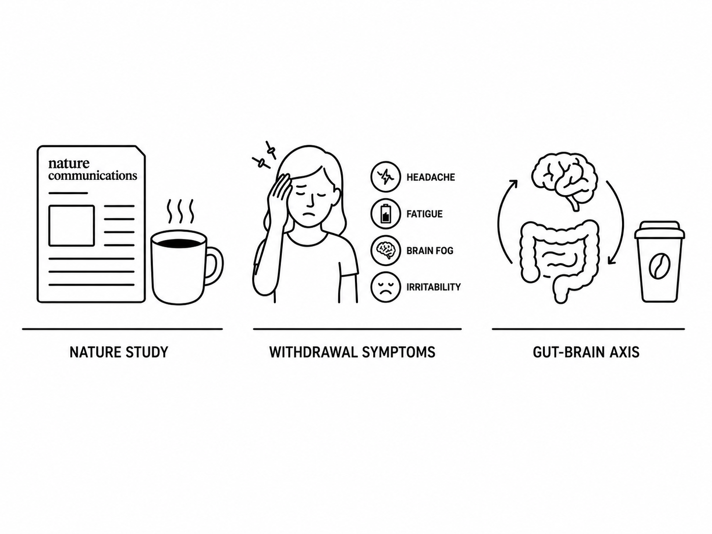Nature Communications Study Documents Caffeine Withdrawal Symptoms in Regular Coffee Drinkers as Gut-Brain Axis Research Reshapes Caffeine Tolerance Understanding
