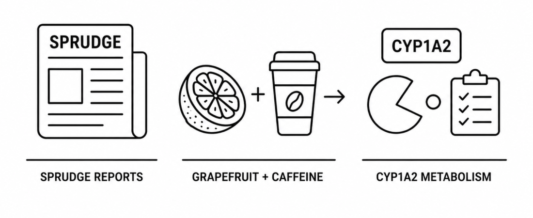 Sprudge Reports Grapefruit Juice May Prolong the Effects of Caffeine as CYP1A2 Enzyme Research Reshapes Caffeine Metabolism Guidance