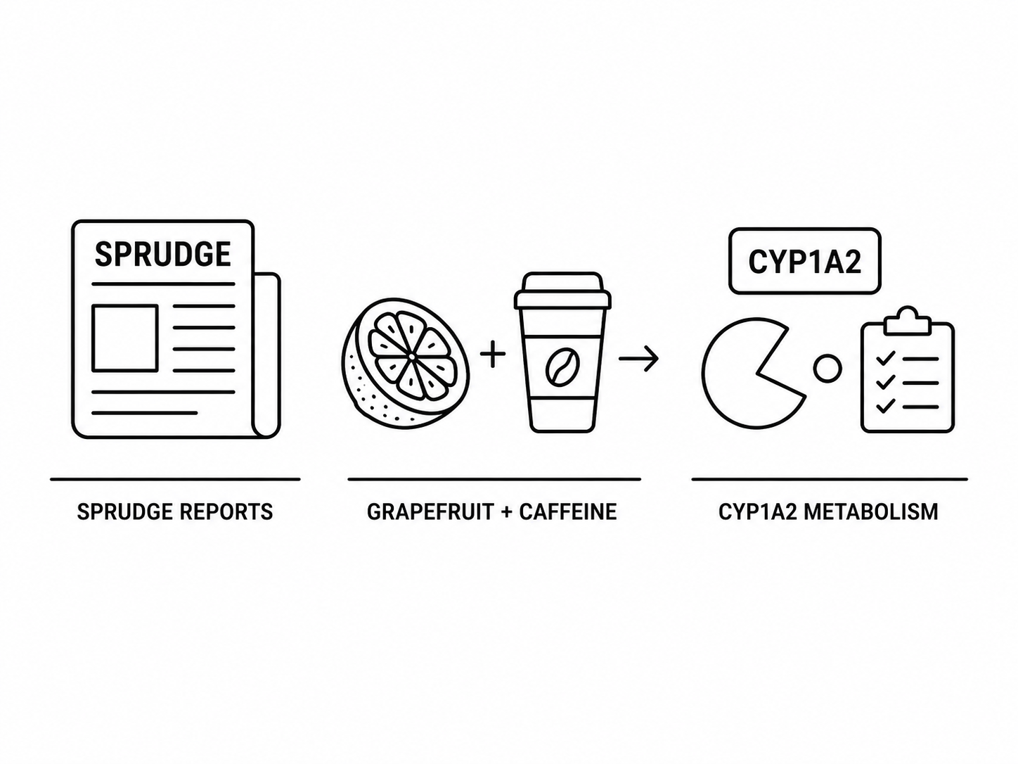 Sprudge Reports Grapefruit Juice May Prolong the Effects of Caffeine as CYP1A2 Enzyme Research Reshapes Caffeine Metabolism Guidance
