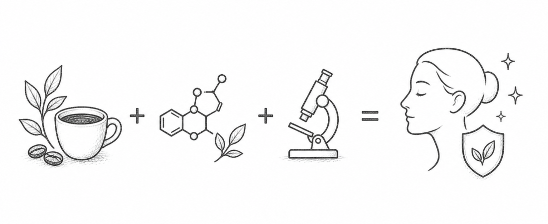 New Texas A&M Caffeine and Coffee Study Reveals Anti-Aging Mechanism: Why Plant-Based Caffeine and Polyphenols Are Reshaping Caffeine Industry Science