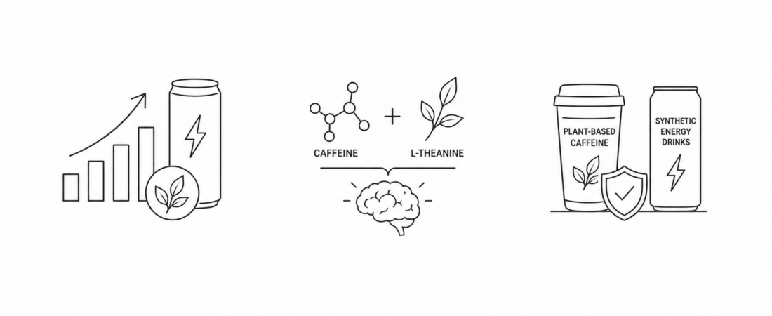 Energy Drink Alternatives Surge as L-Theanine Caffeine Pairing Goes Mainstream: Why Plant-Based Caffeine Beats Synthetic Energy Drinks Long-Term