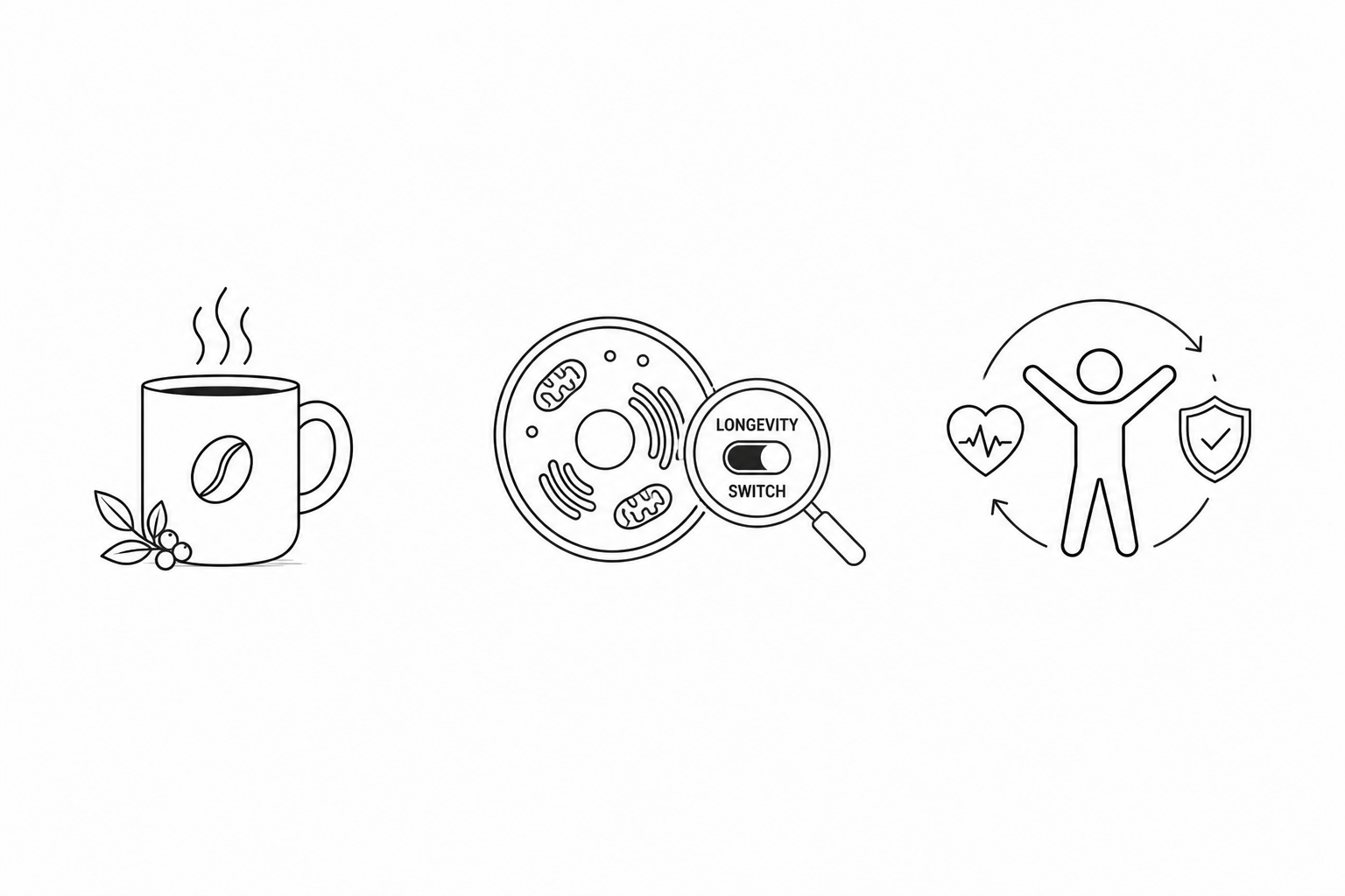 Your Morning Coffee Activates an Ancient Longevity Switch: New Caffeine Research Maps the Cellular Anti-Aging Mechanism Behind Coffee’s Health Benefits
