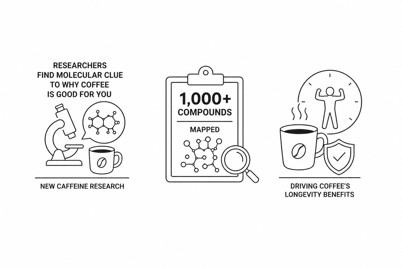 Researchers Find Molecular Clue to Why Coffee Is Good for You: New Caffeine Research Maps the 1,000+ Compounds Driving Coffee’s Longevity Benefits