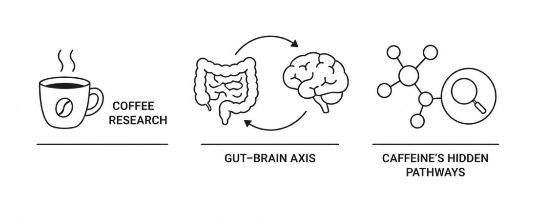 Coffee Reshapes the Gut-Brain Axis: Nature Communications Study Reveals Caffeine’s Hidden Pathways