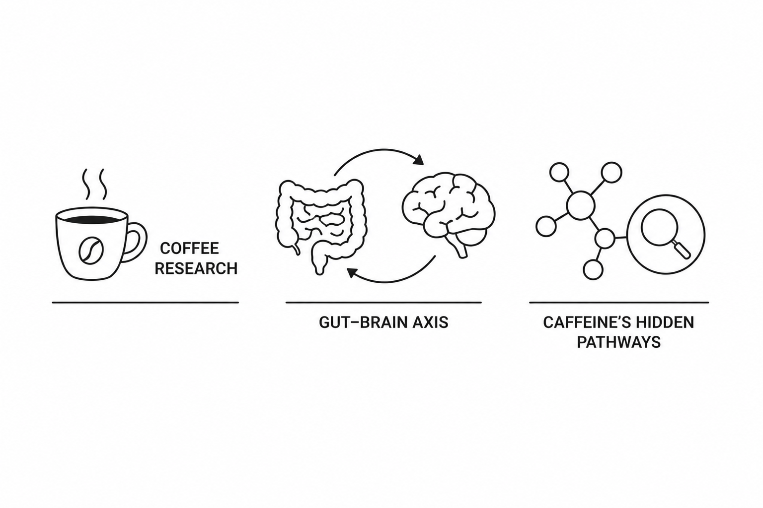 Coffee Reshapes the Gut-Brain Axis: Nature Communications Study Reveals Caffeine’s Hidden Pathways
