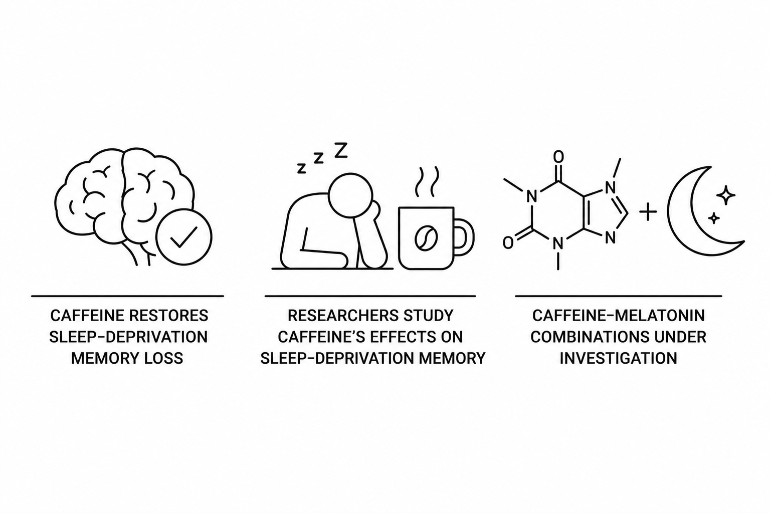 Caffeine Restores Sleep-Deprivation Memory Loss as Researchers Study Caffeine-Melatonin Combinations