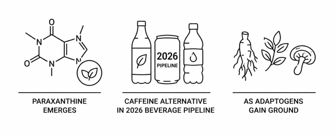 Paraxanthine Emerges as Caffeine Alternative in 2026 Beverage Pipeline as Adaptogens Gain Ground