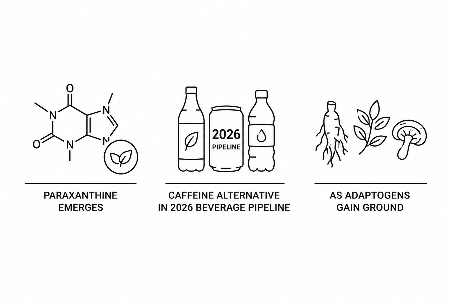 Paraxanthine Emerges as Caffeine Alternative in 2026 Beverage Pipeline as Adaptogens Gain Ground