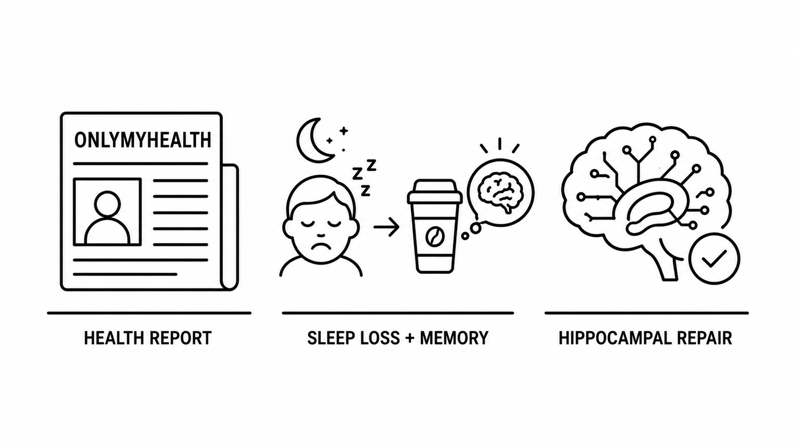 OnlyMyHealth Reports New NUS Medicine Study Finds Caffeine Can Reverse Memory Loss From Sleep Deprivation by Repairing Hippocampal Circuits