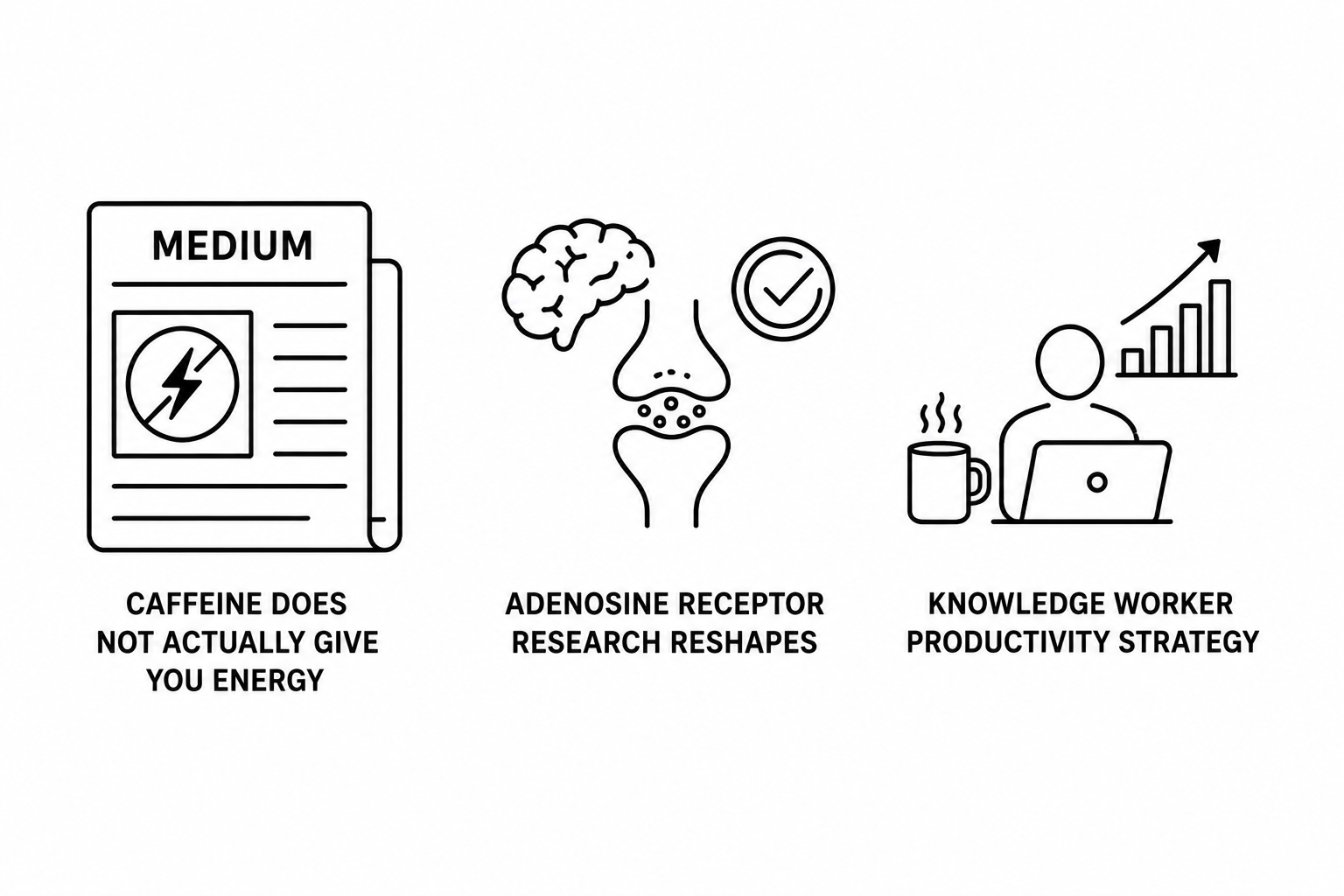Medium Reports Caffeine Does Not Actually Give You Energy as Adenosine Receptor Research Reshapes Knowledge Worker Productivity Strategy