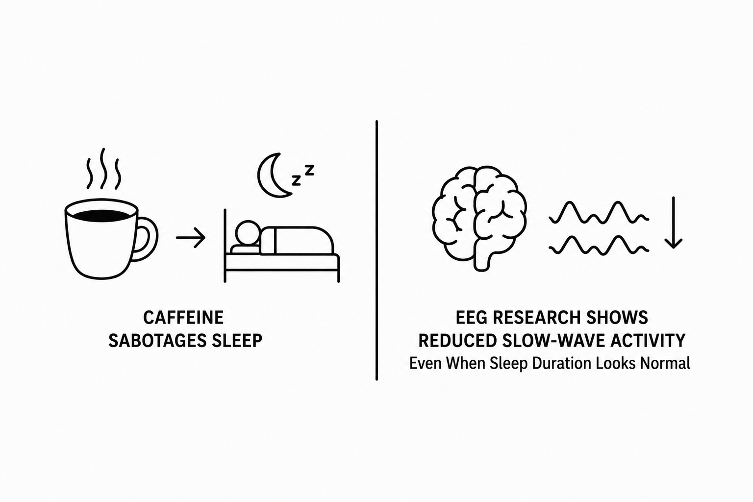 SciTechDaily Reports Scientists Reveal the Hidden Way Caffeine Sabotages Sleep as EEG Research Shows Reduced Slow-Wave Activity Even When Sleep Duration Looks Normal