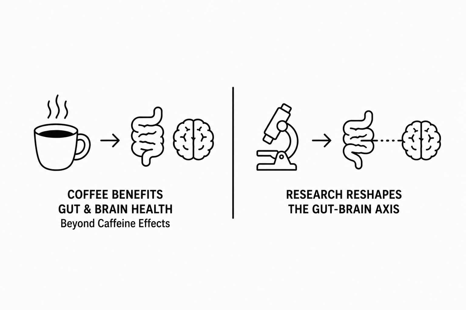MSN Reports New Study Finds Coffee Benefits Gut and Brain Health Beyond Caffeine Effects as Nature Communications Research Reshapes the Gut-Brain Axis Picture