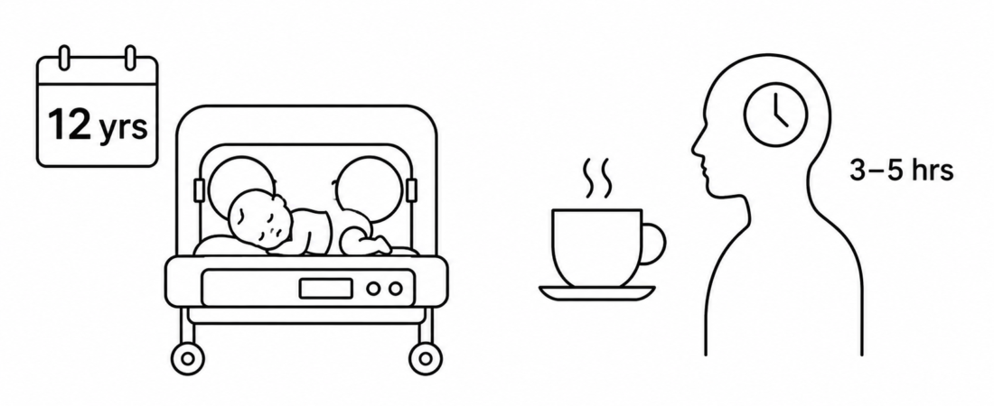 Bioengineer Reports 12-Year Study of Caffeine Use in US Preterm Infants as Lifestack Documents How Long Caffeine Stays in Your System and the CYP1A2 Half-Life