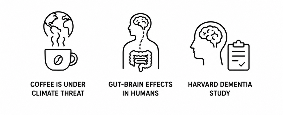 Nature Reports Coffee Is Under Climate Threat as Daily Coffee News Documents Gut-Brain Effects in Humans and CBS News Covers Harvard Dementia Study