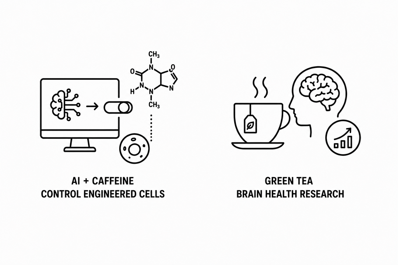 News-Medical Reports AI-Designed Molecular Switch Uses Caffeine to Control Engineered Cells as Daily Green Tea Brain Health Research Continues to Expand
