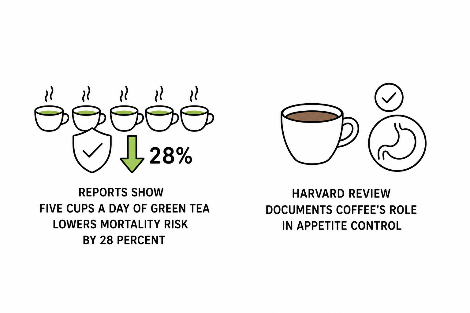 BBC Science Focus Reports Five Cups a Day of Green Tea Lowers Mortality Risk by 28 Percent as Harvard Review Documents Coffee’s Role in Appetite Control