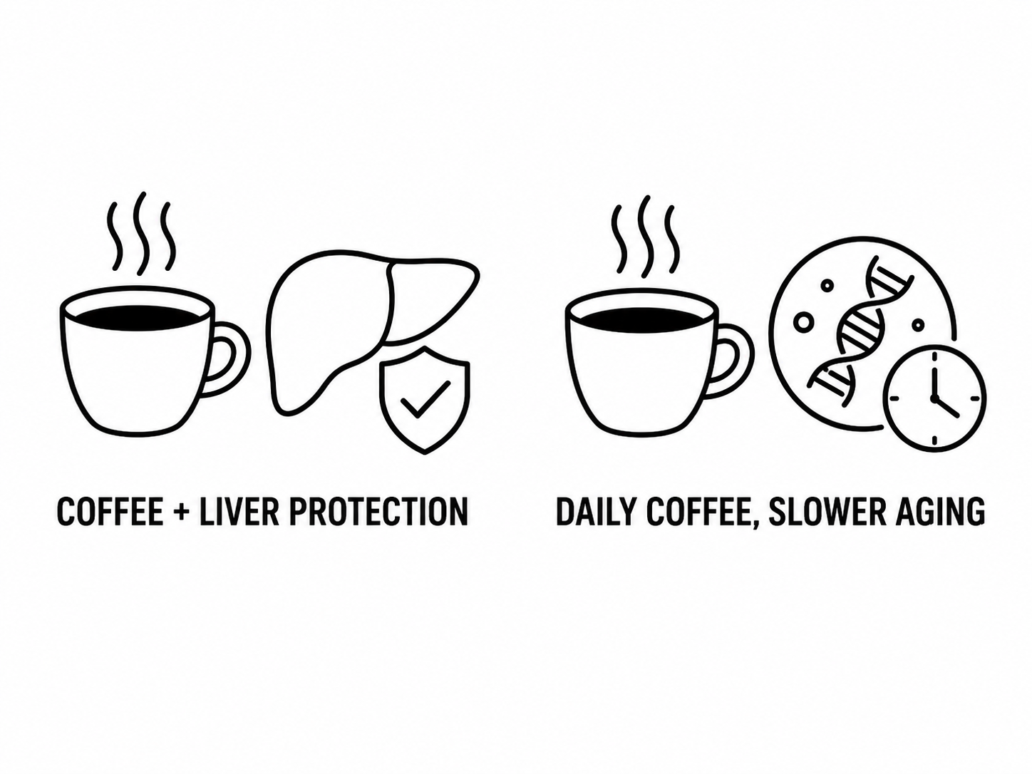 SciTechDaily Reports Coffee May Protect the Liver in More Ways Than Scientists Realized as PsyPost Links Daily Coffee to Slower Cellular Aging