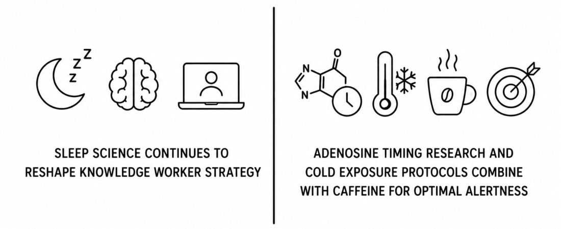Sleep Science Continues to Reshape Knowledge Worker Strategy as Adenosine Timing Research and Cold Exposure Protocols Combine With Caffeine for Optimal Alertness