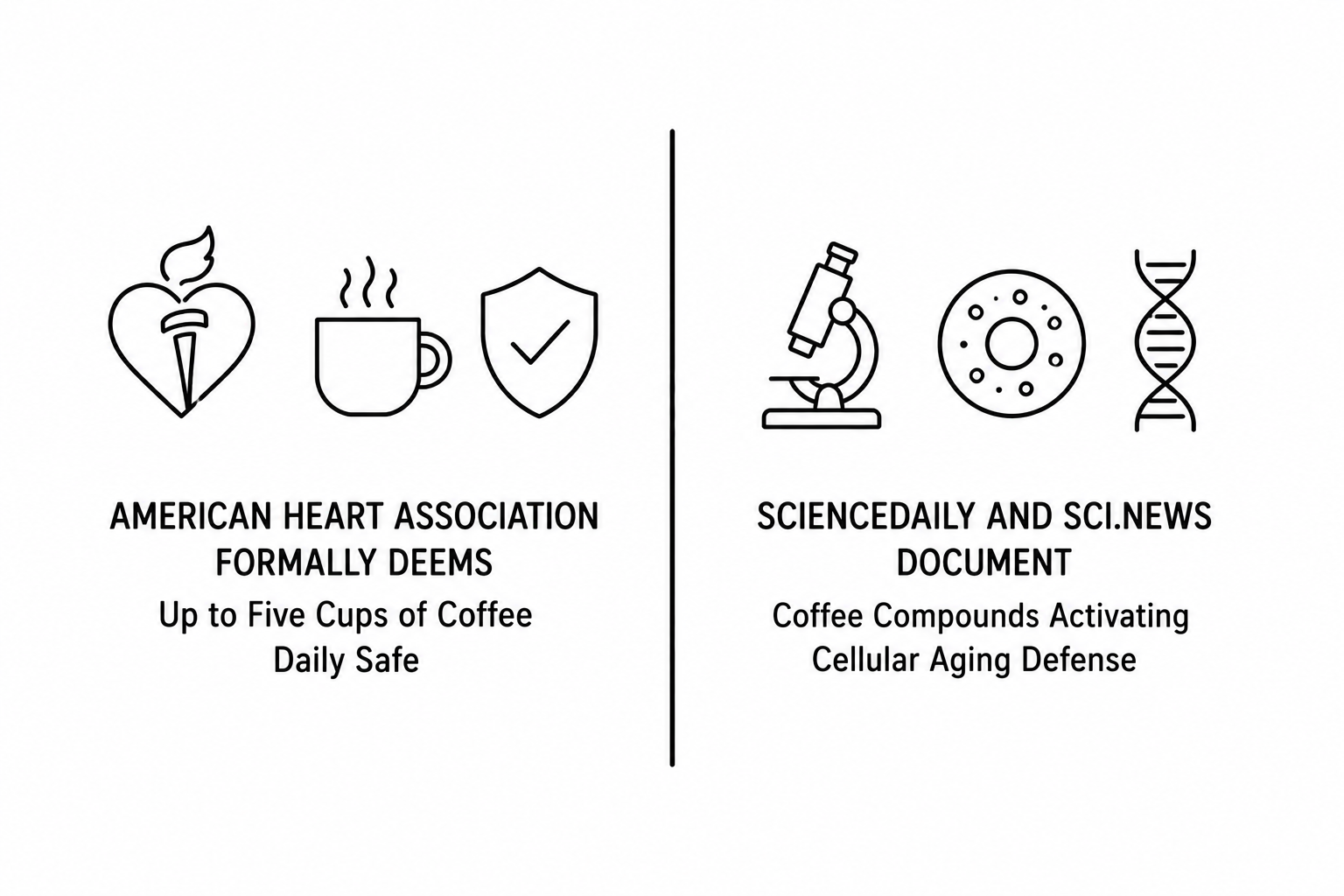 American Heart Association Formally Deems Up to Five Cups of Coffee Daily Safe as ScienceDaily and Sci.News Document Coffee Compounds Activating Cellular Aging Defense