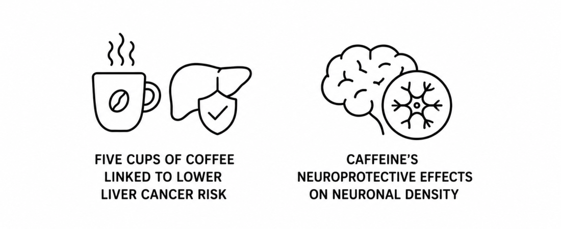 Medical News Today Reports Five Cups of Coffee Linked to Lower Liver Cancer Risk as Nature Documents Caffeine’s Neuroprotective Effects on Neuronal Density