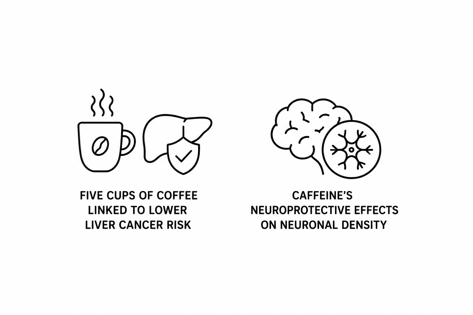 Medical News Today Reports Five Cups of Coffee Linked to Lower Liver Cancer Risk as Nature Documents Caffeine’s Neuroprotective Effects on Neuronal Density