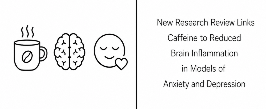 New Research Review Links Caffeine to Reduced Brain Inflammation in Models of Anxiety and Depression